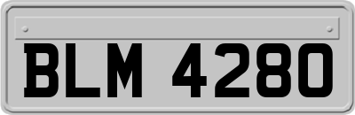 BLM4280