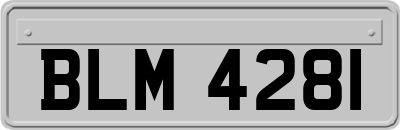 BLM4281