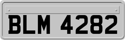 BLM4282