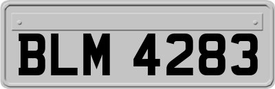 BLM4283