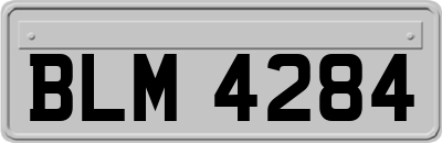 BLM4284