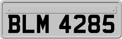 BLM4285