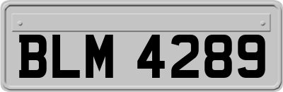 BLM4289