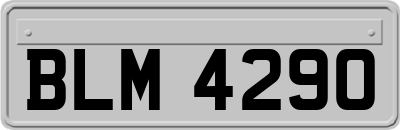 BLM4290