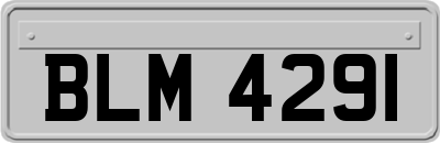 BLM4291