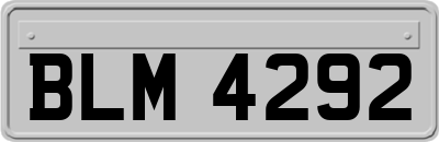 BLM4292