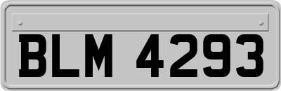BLM4293