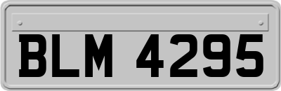 BLM4295