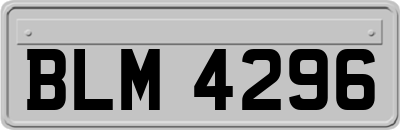 BLM4296