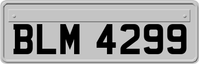 BLM4299