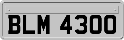 BLM4300