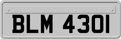 BLM4301
