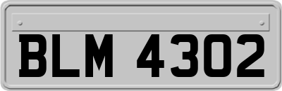 BLM4302