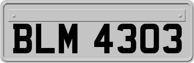 BLM4303