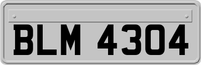 BLM4304