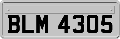 BLM4305