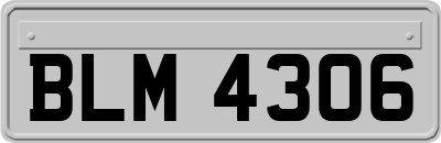 BLM4306