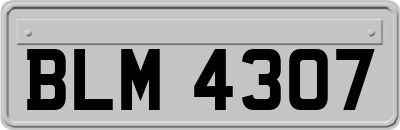 BLM4307