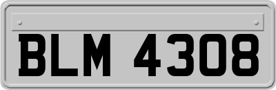 BLM4308