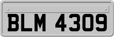 BLM4309