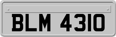 BLM4310