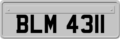 BLM4311