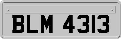 BLM4313