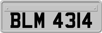 BLM4314