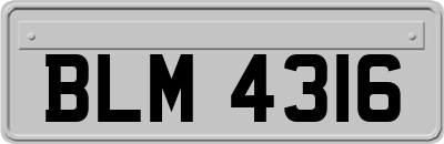 BLM4316