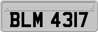 BLM4317