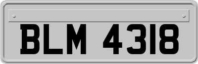 BLM4318