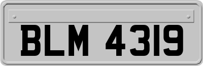 BLM4319