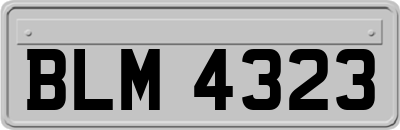 BLM4323