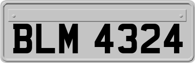 BLM4324