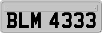 BLM4333