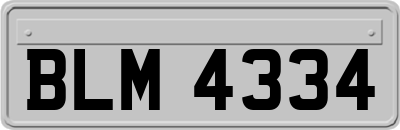 BLM4334