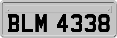 BLM4338