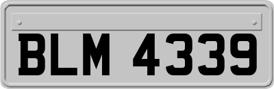 BLM4339