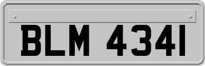 BLM4341