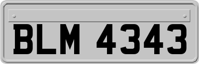 BLM4343