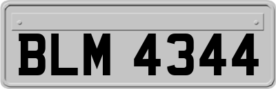 BLM4344