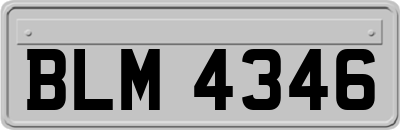 BLM4346