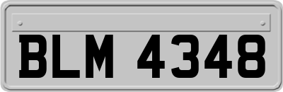 BLM4348