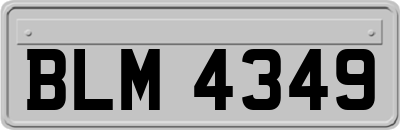 BLM4349