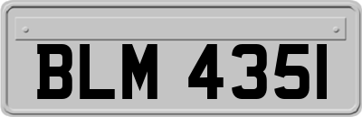 BLM4351