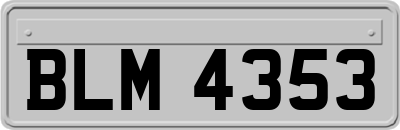 BLM4353