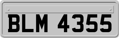 BLM4355