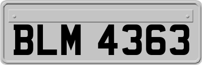 BLM4363