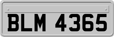 BLM4365
