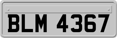 BLM4367